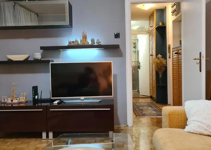 Grey Apartment Novi Beograd