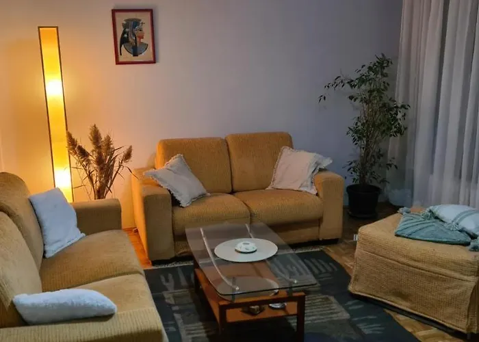 Grey Apartment Novi Beograd